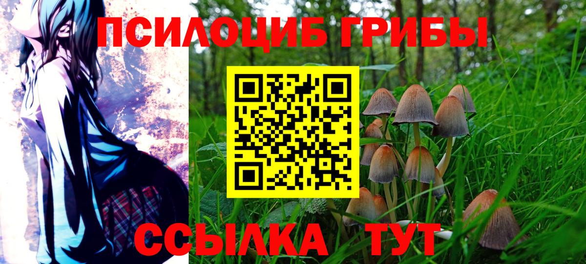 Псилоцибиновые грибы GOLDEN TEACHER Выкса