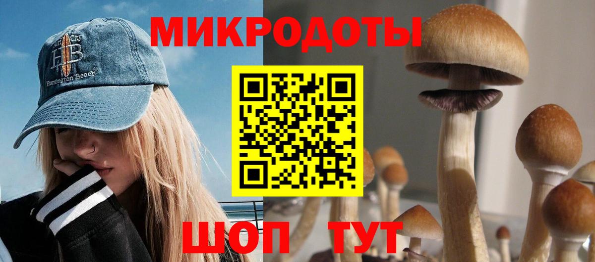Псилоцибиновые грибы Psilocybe  наркота  Выкса  Вход с VPN 